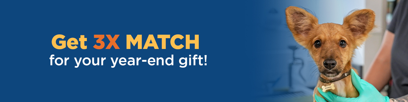Get 3X match for your year end gift!