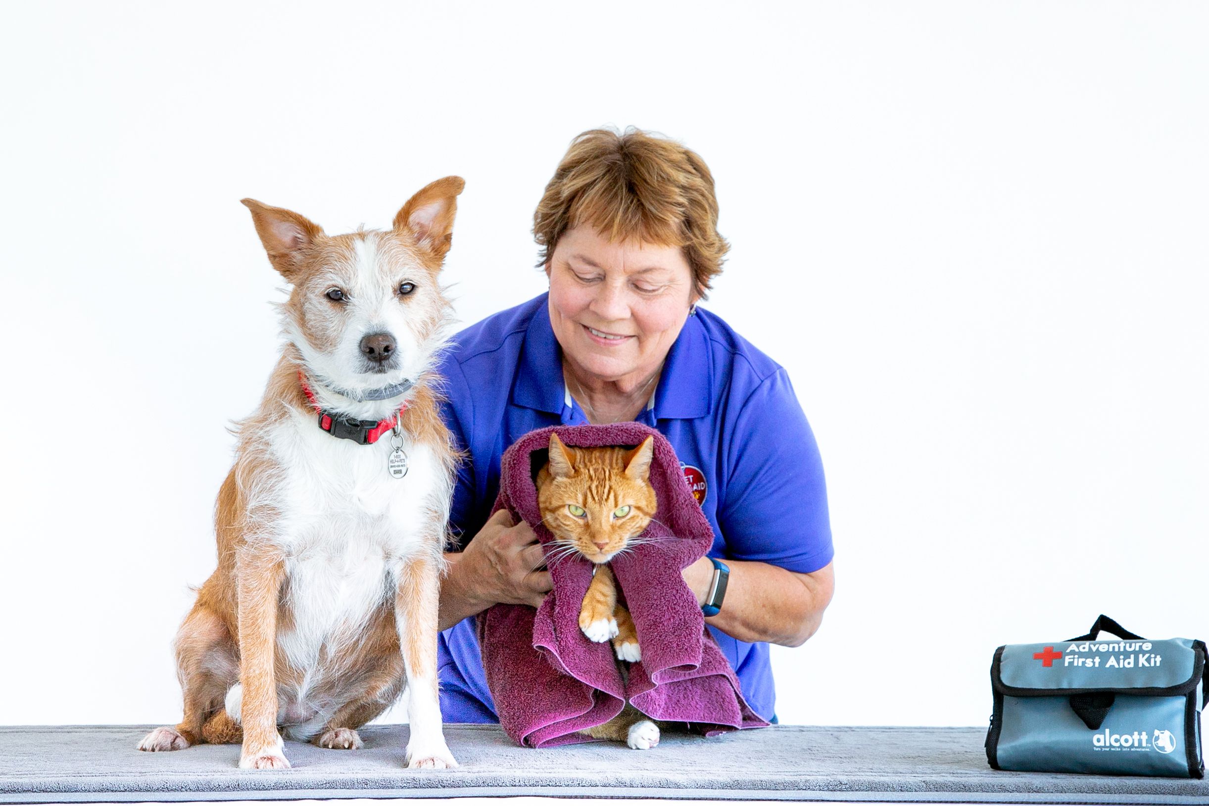 DIY Pet First Aid