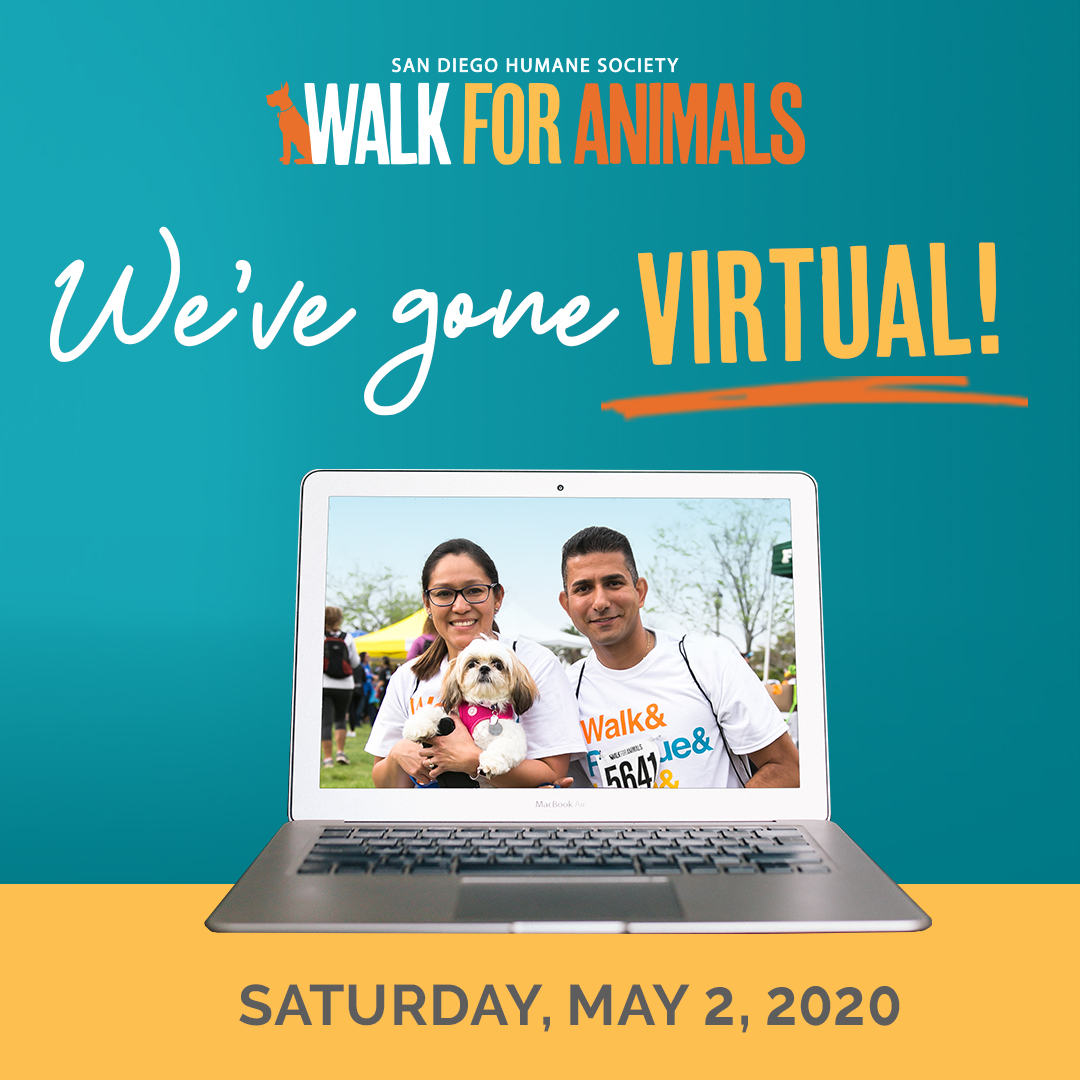 FB Shareable Virtual Walk