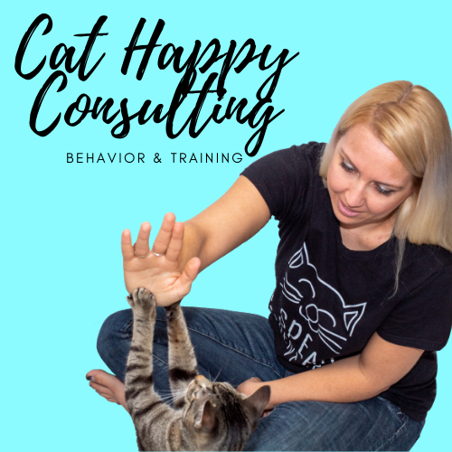 cat happy logo turquoise canva.png
