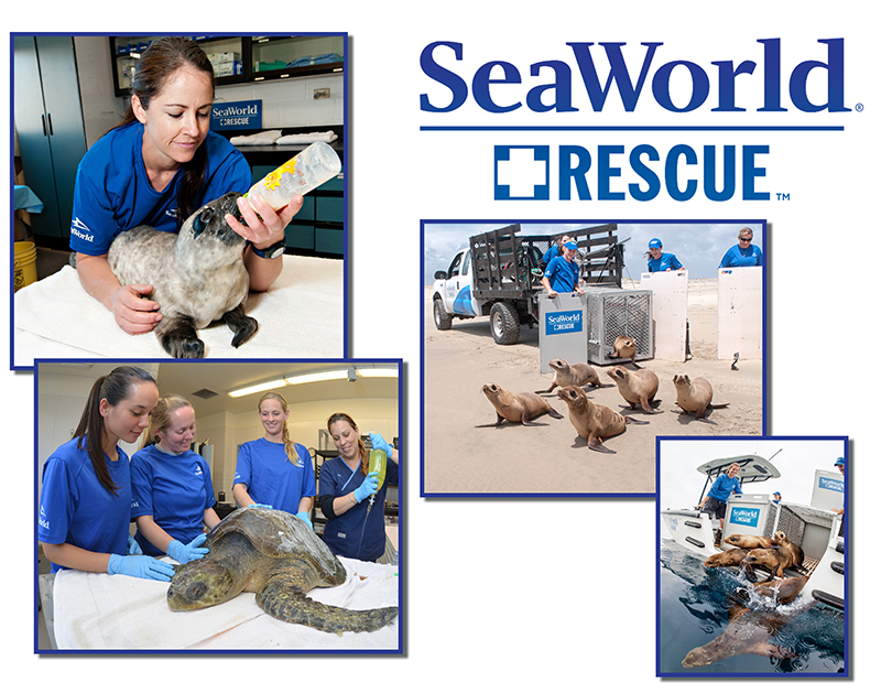 Sea World Rescue