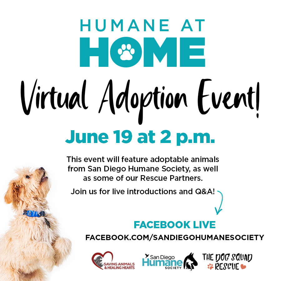 Virtual Adoption Event