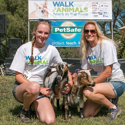 walk for animals north county 2015