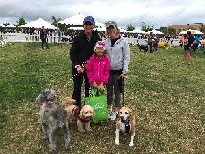 Walk for Animals 2017