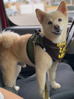 Sid is a Padre fan too!