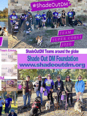 Team #ShadeOutDM - Barking Out Loud for the pups that can't
