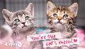 E-Card: Valentines Kittens