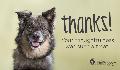 E-Card: Thank You Dog