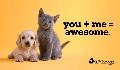 E-Card: Special Someone Cat and Dog