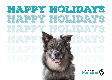 E-Card: Holiday Dog