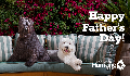 E-Card: Father's Day Dogs
